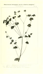 n82_w1150