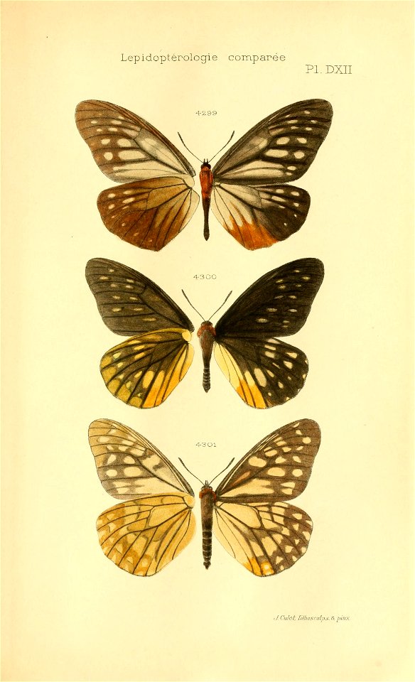 n696_w1150