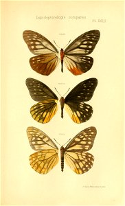 n696_w1150
