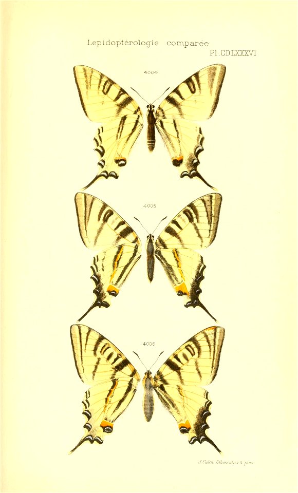 n422_w1150