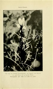 n192_w1150