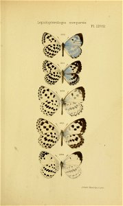 n162_w1150