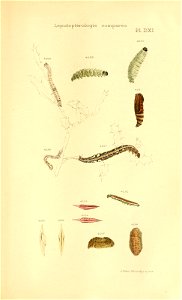 n694_w1150