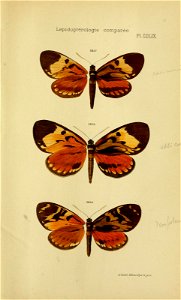 n802_w1150