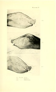 n192_w1150