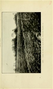 n190_w1150