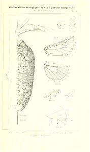n78_w1150