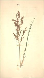 n314_w1150