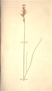 n272_w1150