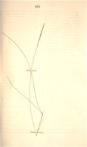 n242_w1150