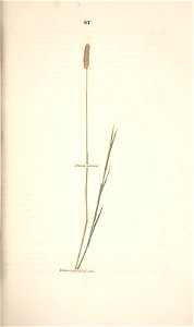 n158_w1150