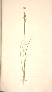 n208_w1150