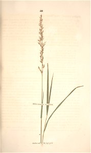 n124_w1150