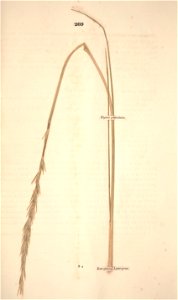 n340_w1150