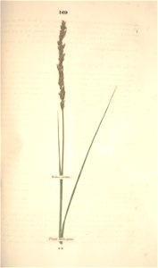 n240_w1150