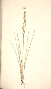 n206_w1150