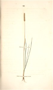 n156_w1150