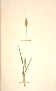 n78_w1150