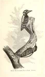 n116_w1150