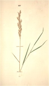 n308_w1150