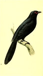 n365_w1150