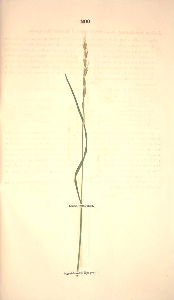 n370_w1150
