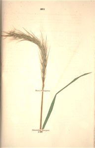 n332_w1150