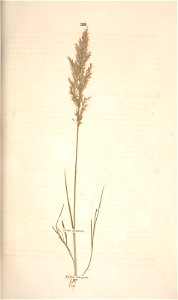 n110_w1150