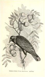 n408_w1150