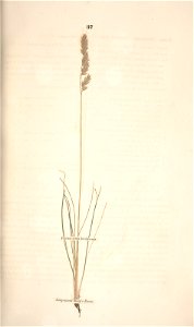 n108_w1150
