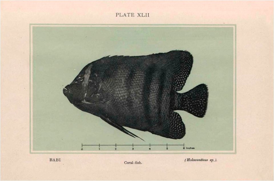 n301_w1150