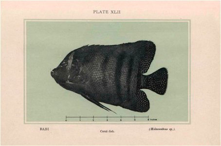 n301_w1150