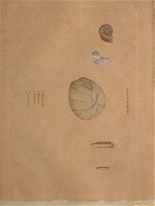 n44_w1150