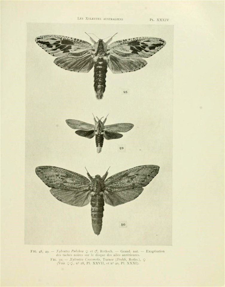 n134_w1150