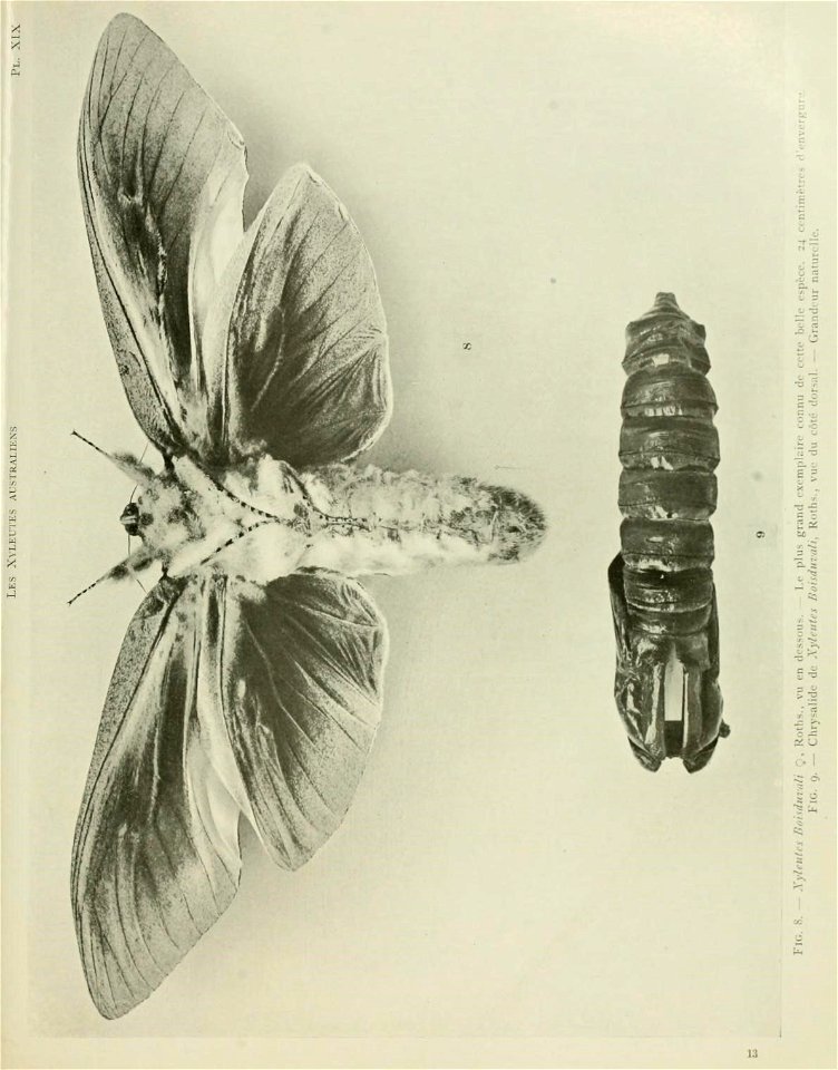 n104_w1150