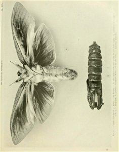 n104_w1150