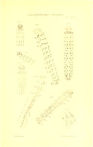 n302_w1150
