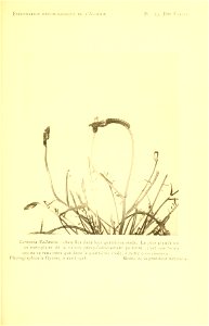 n180_w1150