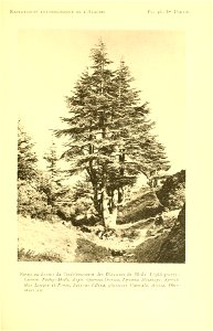 n150_w1150