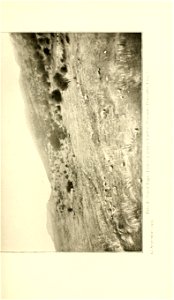 n228_w1150