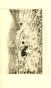 n198_w1150