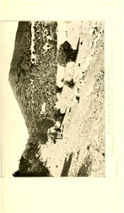 n168_w1150