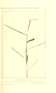 n138_w1150