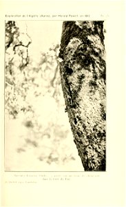 n108_w1150