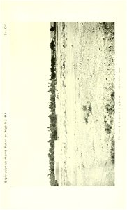 n604_w1150