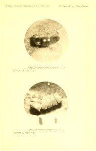 n238_w1150