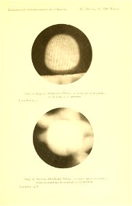 n208_w1150