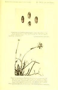 n178_w1150