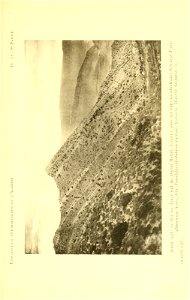n118_w1150