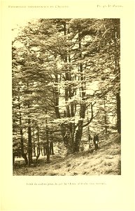 n148_w1150